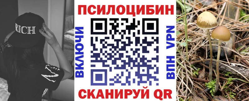 мега как зайти  где купить   Малгобек  Псилоцибиновые грибы Magic Shrooms 