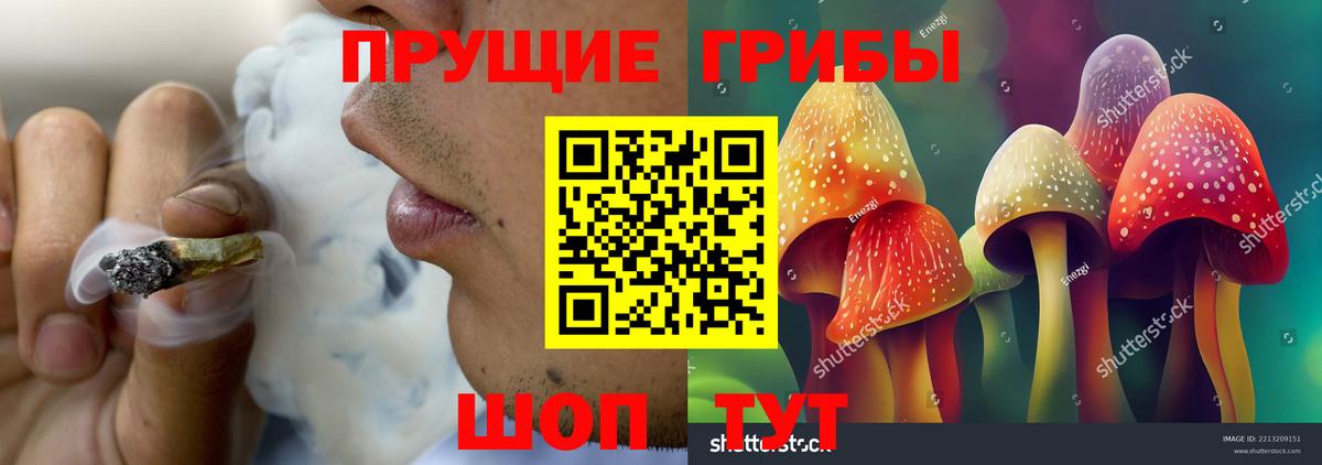 дарнет шоп  Галлюциногенные грибы прущие грибы  Галлюциногенные грибы прущие грибы  Вход с VPN  Малгобек 